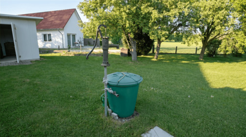 Sonniger Garten mit Grünfläche - 