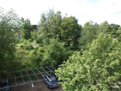 Ausblick ins Grüne - 