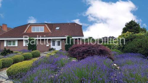 Ansicht - 7 Zimmer Mehrfamilienhaus, Wohnhaus zum Kaufen in Neustadt in Holstein