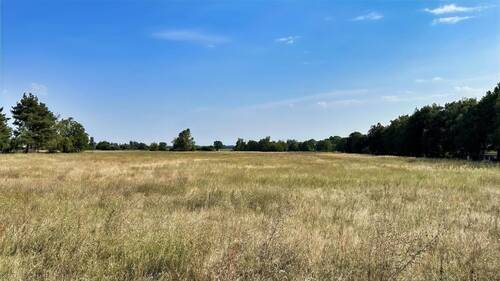 Straßenansicht - Grundstück zum Kaufen in Wriezen