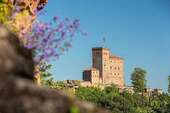 Trifels Blick - 