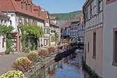 Altstadt (1 min entfernt) - 