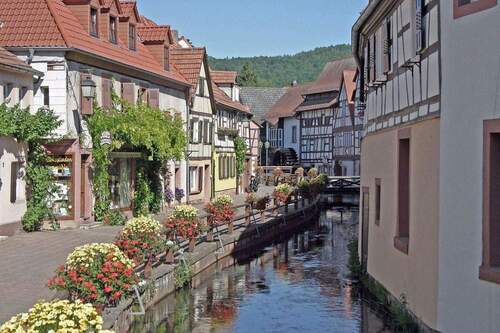Altstadt (1 min entfernt) - 