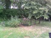 DSCF0024.JPG - 