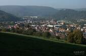 Blick auf Amorbach - Traumhaftes Grundstück in ruhiger Lage mit viel Wertsteigerungspotenzial!