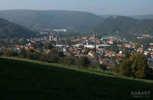 Blick auf Amorbach - Traumhaftes Grundstück in ruhiger Lage mit viel Wertsteigerungspotenzial!