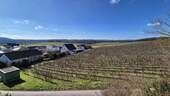 Ausblick über die Weinberge - 