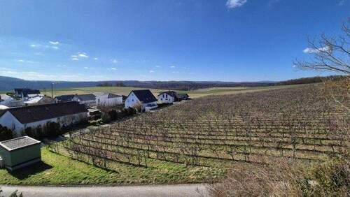 Ausblick über die Weinberge - 