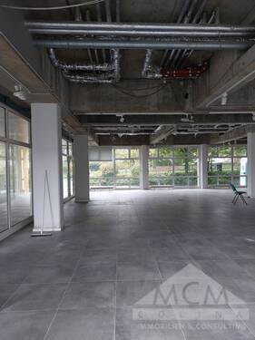Hauptraum - 1 Zimmer Büro zur Miete in Frankfurt am Main