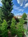 Blick vom Balkon - 