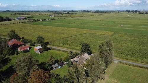 Drohne III - 