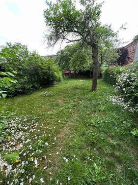 Garten im Innenhof - 2 Zimmer Etagenwohnung in Greifswald