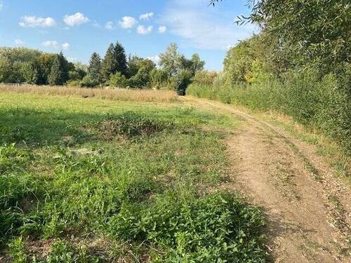 Bild 2 - Grundstück zum Kaufen in Dieburg