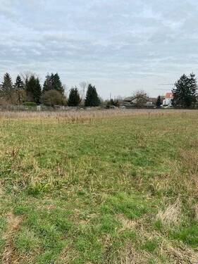 Bild 3 - Grundstück in Dieburg