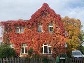 Fassade - 
