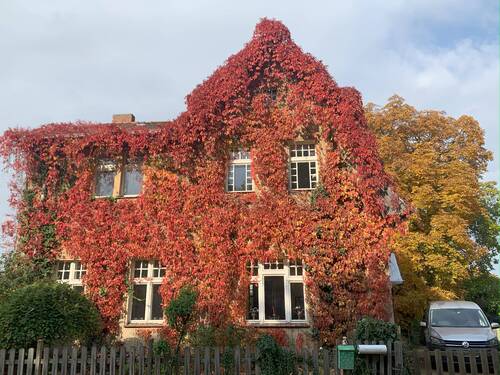 Fassade - 
