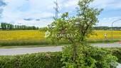 Ausblick - 