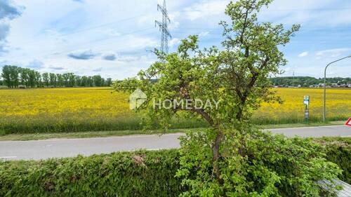 Ausblick - 