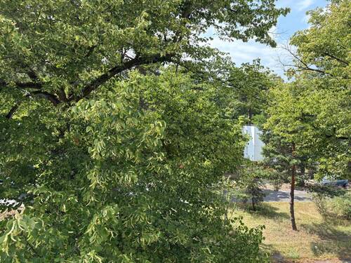 Ausblick Schlafzimmer - 