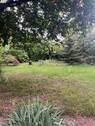 Blick in den Garten - Grundstück in Nürnberg