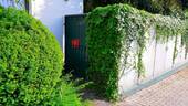 Separater Zugang zum Garten - 