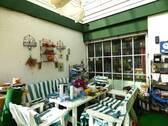 Sonniger Wintergarten - 