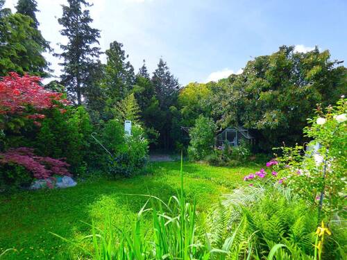 Großer, sonniger Garten - 