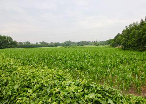 fast unendliche Weite - 