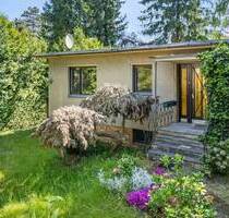 Das schönste Geschenk unterm Weihnachtsbaum! - Berlin Lichtenrade