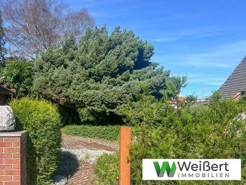 Grundstück - Sie suchen ein Grundstück für Ihr Tiny House? - 293 m² Baugrundstück in idyllischer Lage