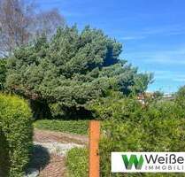 Sie suchen ein Grundstück für Ihr Tiny House? - 293 m² Baugrundstück in idyllischer Lage - Rethwisch