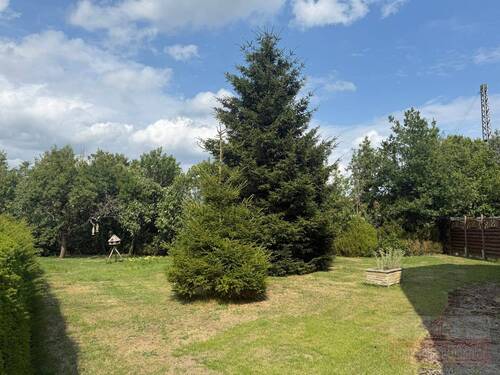 Garten - Einfamilienhaus mit 194,50 m&sup2; in Rheine-Mesum zum Kaufen