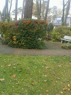 10.11.2015 1840.png - 3 Zimmer Etagenwohnung zur Miete in Bad Saarow