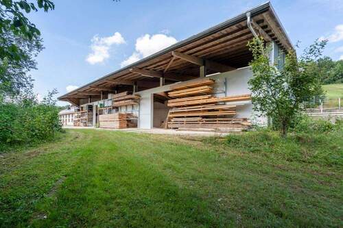 Holzlager_ - 