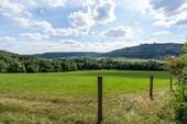 Wiesengrund_ - 