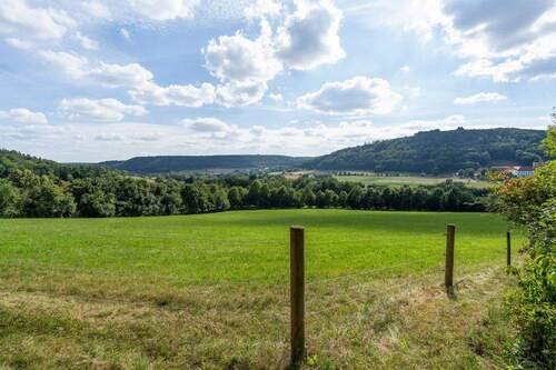 Wiesengrund_ - 