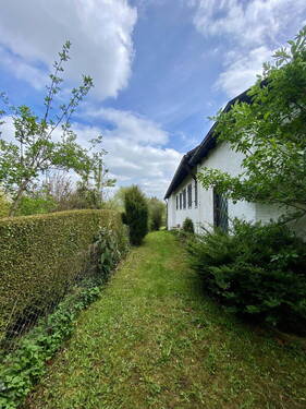 Bild 4 - Einfamilienhaus mit 202,00 m² in Irsee zum Kaufen