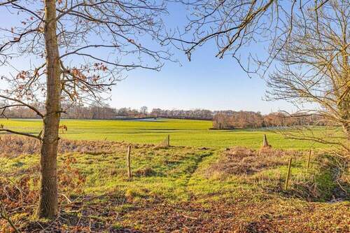 Koppel am Haus - 5 Zimmer Bauernhaus, Landhaus in Steenfeld / Liesbüttel