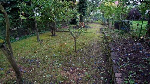 sowie PLatz zum Gärtnern, auch der Obstbaumbestand kann begeistern - 