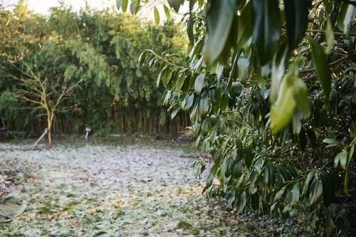Garten - Bungalow mit 151,00 m&sup2; in Schwanewede zum Kaufen