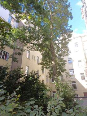 HausFassade Hofseite - 