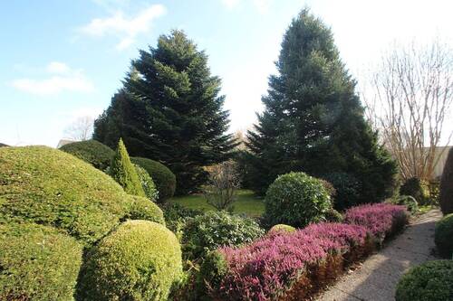 Der Garten vor dem Haus - 