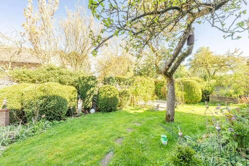 Garten - 