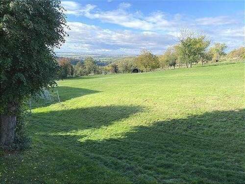 Blick in die Umgebung - 