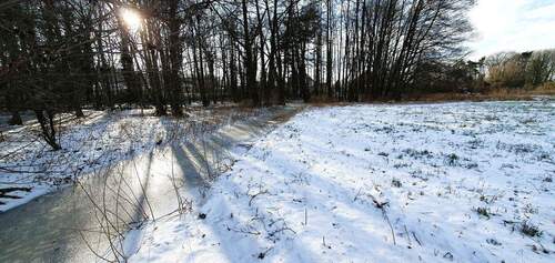 Bachlauf in der angrenzenden Wiese - Grundstück zum Kaufen in Stechow-Ferchesar