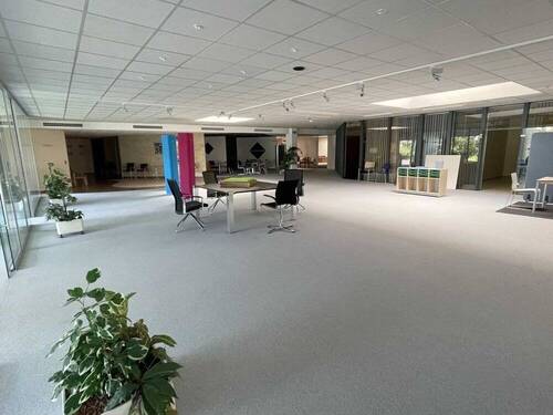 Ausstellung - 
