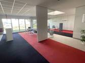 Ausstellung - 