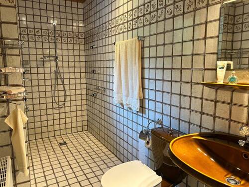 Gäste-WC mit Dusche - 