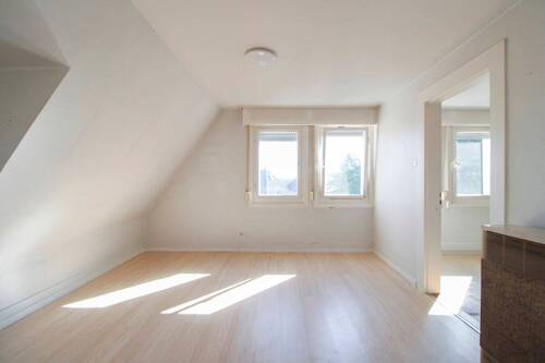 Zimmer DG - 