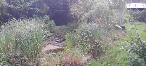 20250627_120052.jpg - 